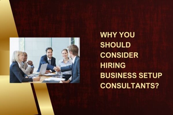 Why You Should Consider Hiring Business Setup Consultants