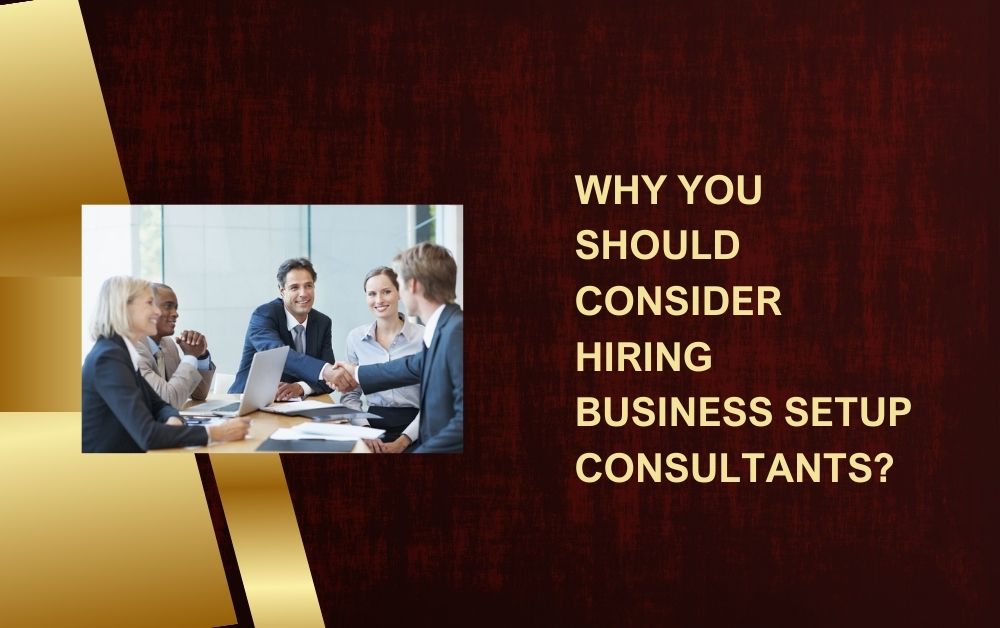 Why You Should Consider Hiring Business Setup Consultants